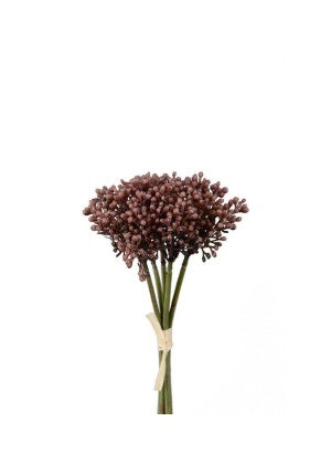 Sedumbunt 21 cm - lilla