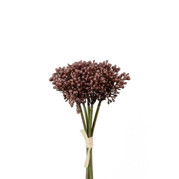 Sedumbunt 21 cm - lilla