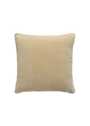 Velvet Cushion