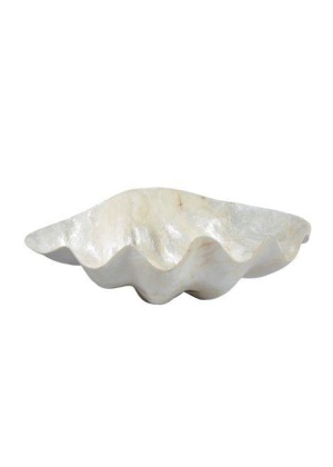 Capiz clam L