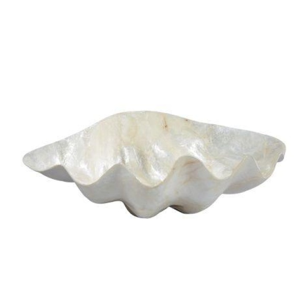 Capiz clam L