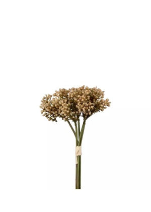Sedumbunt 21 cm - beige
