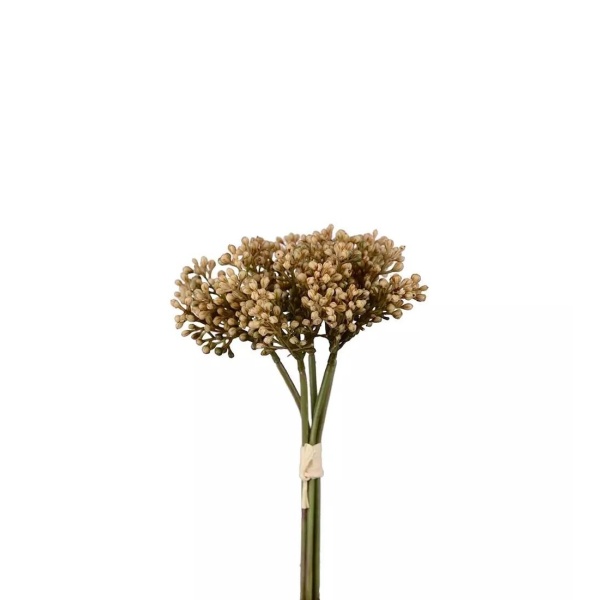 Sedumbunt 21 cm - beige