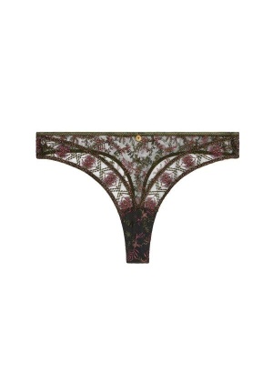 Tanga Sound Of Tanga
